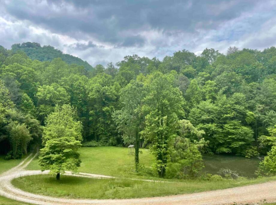 Lazy Bear Cabin Near Nantahala Outdoor Center And Bryson City Buitenkant foto