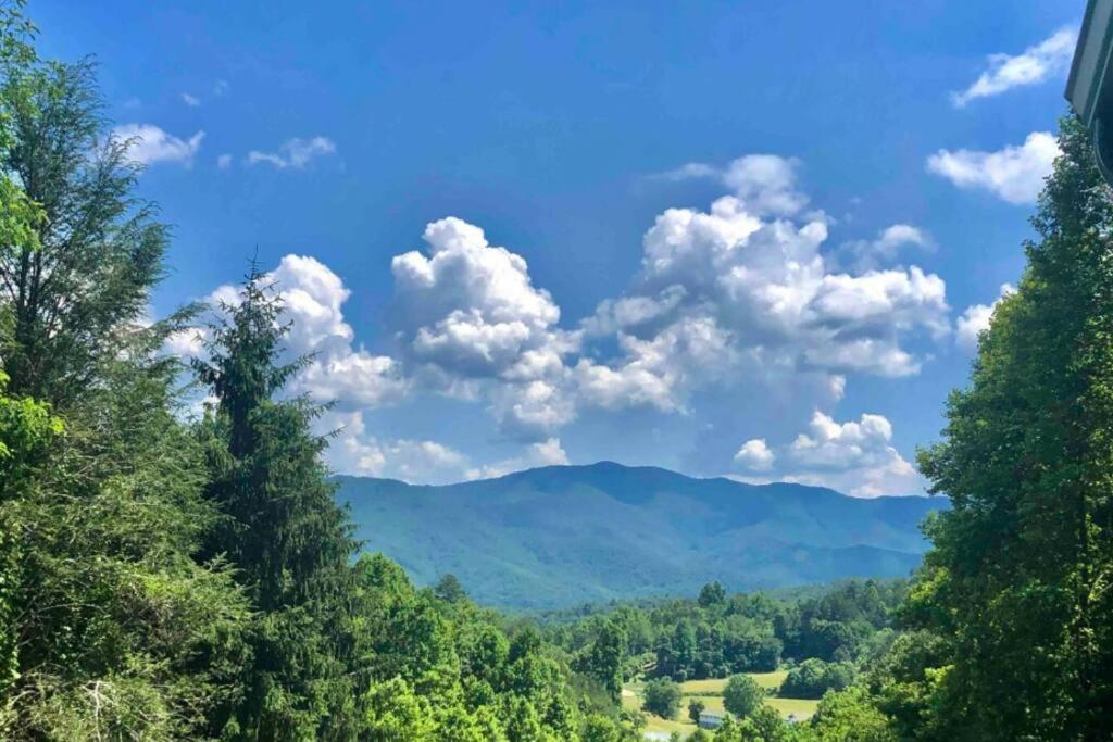 Lazy Bear Cabin Near Nantahala Outdoor Center And Bryson City Buitenkant foto