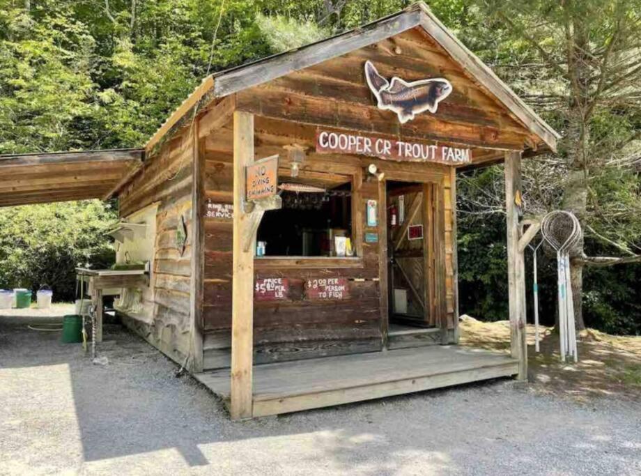 Lazy Bear Cabin Near Nantahala Outdoor Center And Bryson City Buitenkant foto