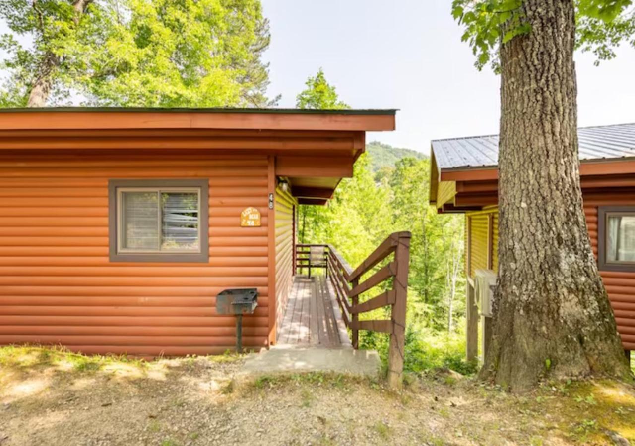 Lazy Bear Cabin Near Nantahala Outdoor Center And Bryson City Buitenkant foto