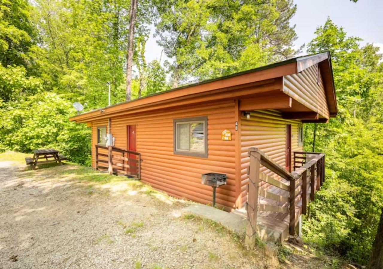 Lazy Bear Cabin Near Nantahala Outdoor Center And Bryson City Buitenkant foto